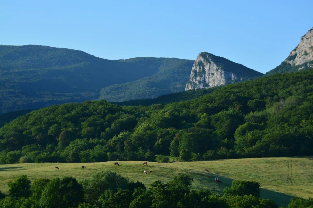 Село крым. Село Соколиное Бахчисарайский район. Село Соколиное Бахчисарайский район Крым. Села Соколиное, Бахчисарайский район. Соколиное Бахчисарай Крым.