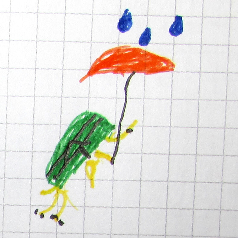 Черепашка на роликах под дождем.