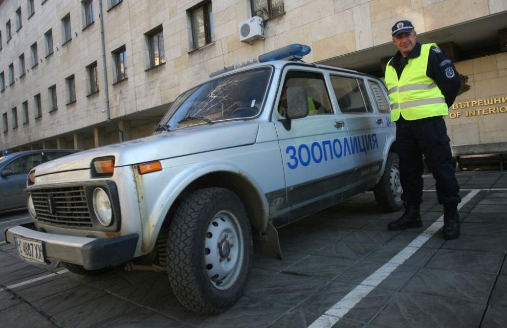 Зоополиция в Болгарии. Фото: dariknews.bg