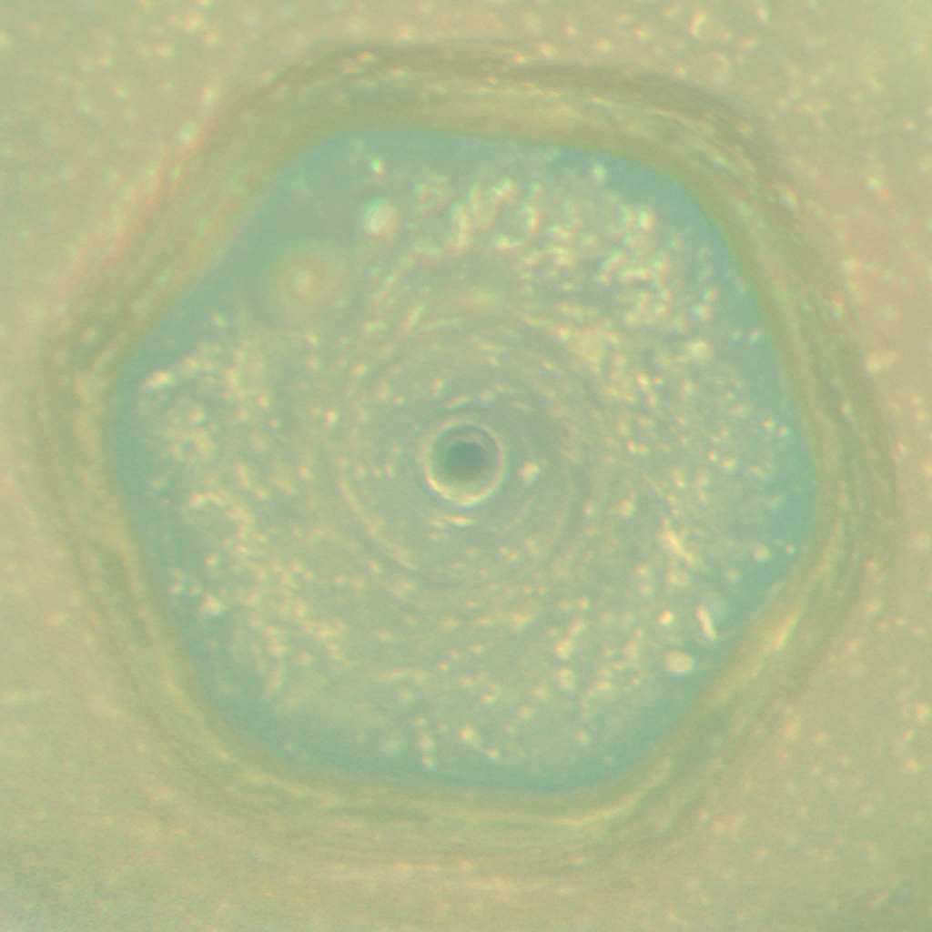 Источник изображения: https://thumbs.gfycat.com/