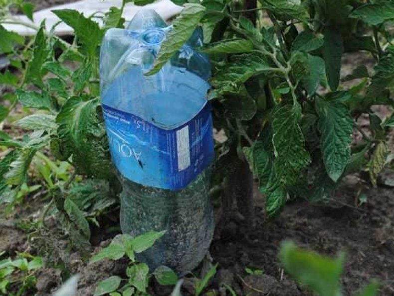 Как сделать полив из пластиковой бутылки :: Инфониак