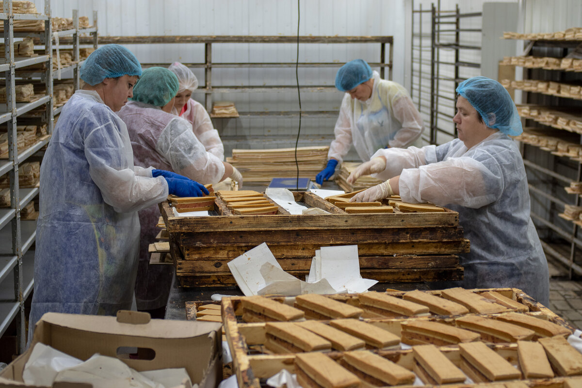 консервный завод белев. заводы в белеве. оланешты консервный завод. консервный завод белев 1960. белев заводы.