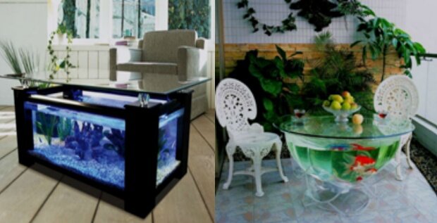 Аквариум в интерьере квартиры или дома — виды и размещение аквариумов от специалистов Подводный Мир