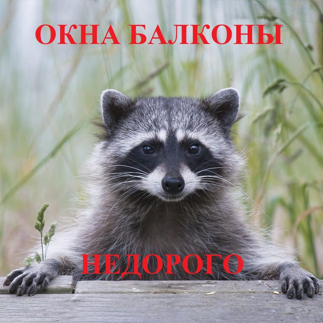 Оконный рынок в Хабаровске очень колоритный и разнообразный. 