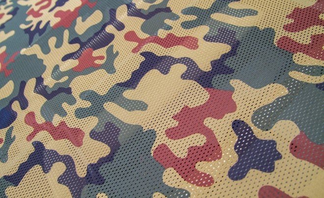  
Фото: pxhere.com