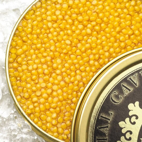 Легче всего данное лакомство можно приобрести в Иране. Это икра белых белуг, данные рыбы достигают веса в тонну и доживают до 100 лет. Чаще всего продаётся упакованной в золотые контейнеры(как на изображении выше)