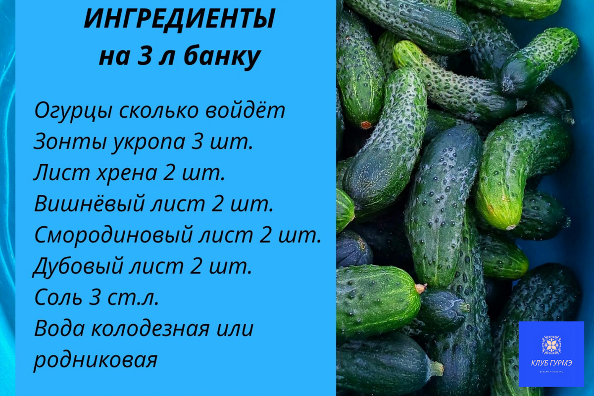 В какое время суток лучше собирать огурцы. Соленые огурцы калории. Собирает огурцы. Как понять что пора собирать огурцы. Ел соленый огурец загадка.