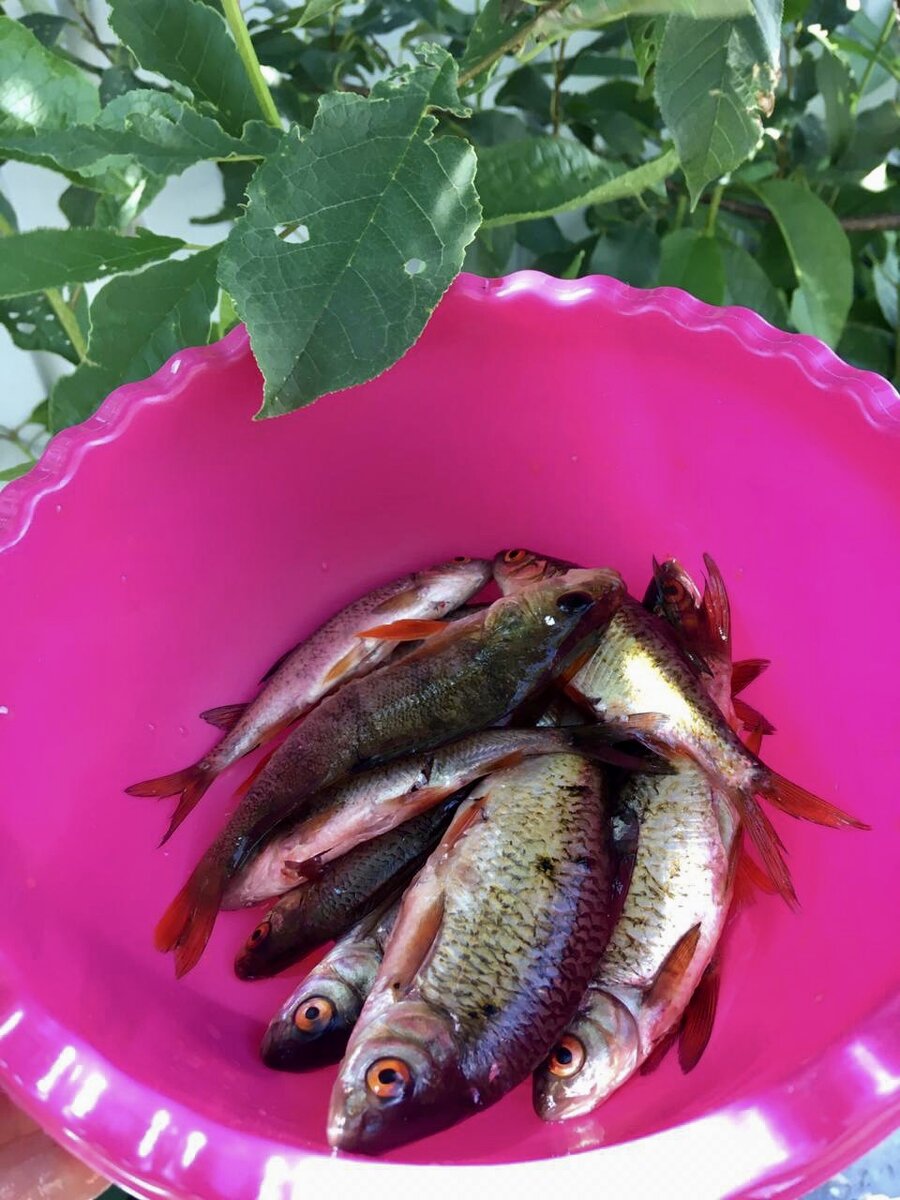 Вот такая у нас была мелочь