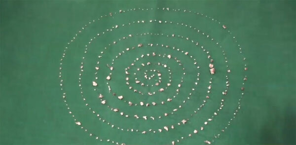 Фото:indiatimes.com