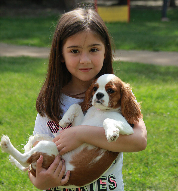 Фото с Кавалер встречи в Сокольниках 