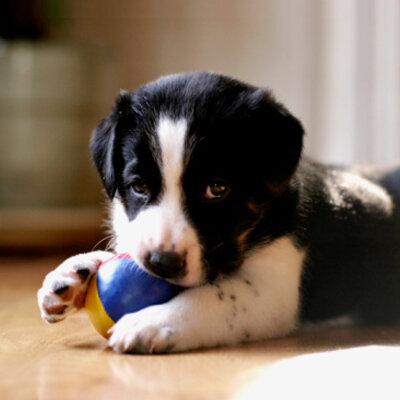 Фото с сайта https://goo-gl.su/1bR6