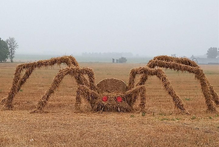 Кресло из сена