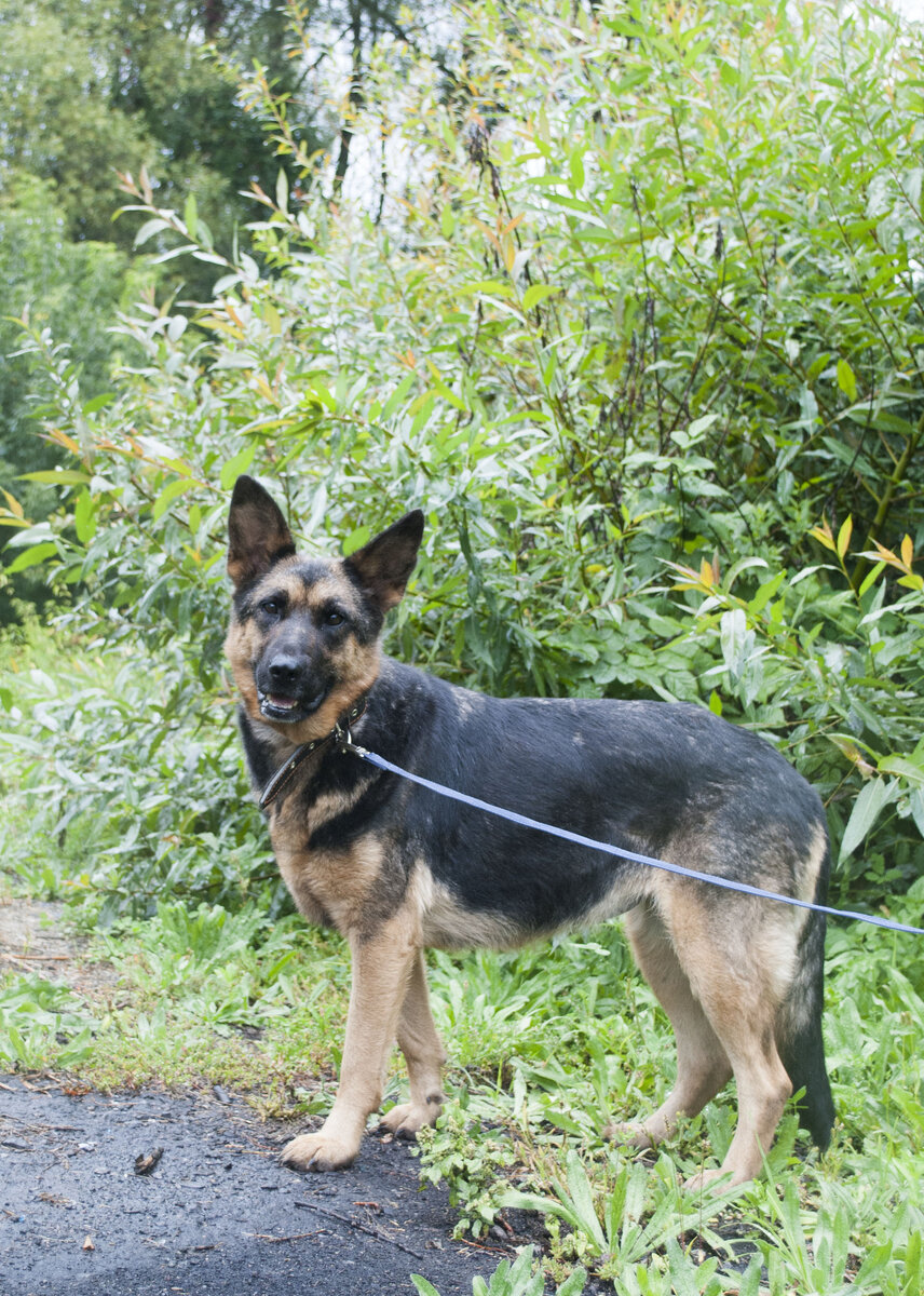 В глазах надежда