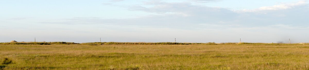 Кубанские степи.