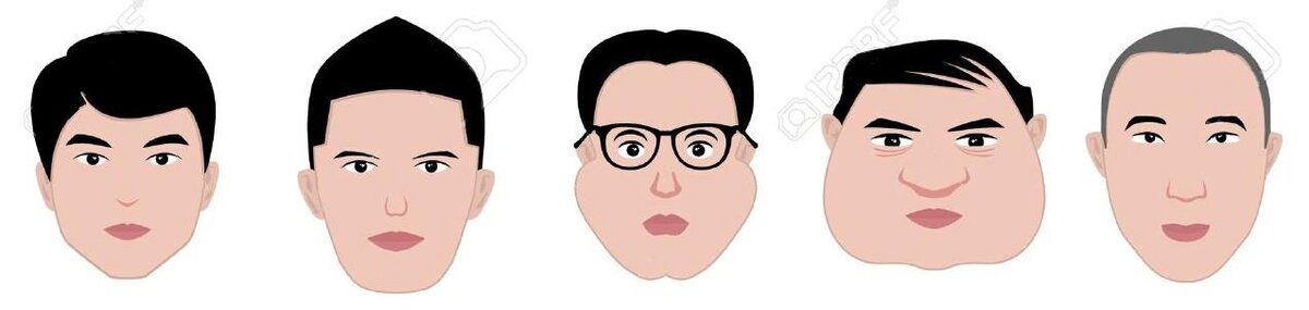 Форма женского подбородка. Подбородок криминалистика. Типы лица. Форма подбородка. Типы мужских подбородков.