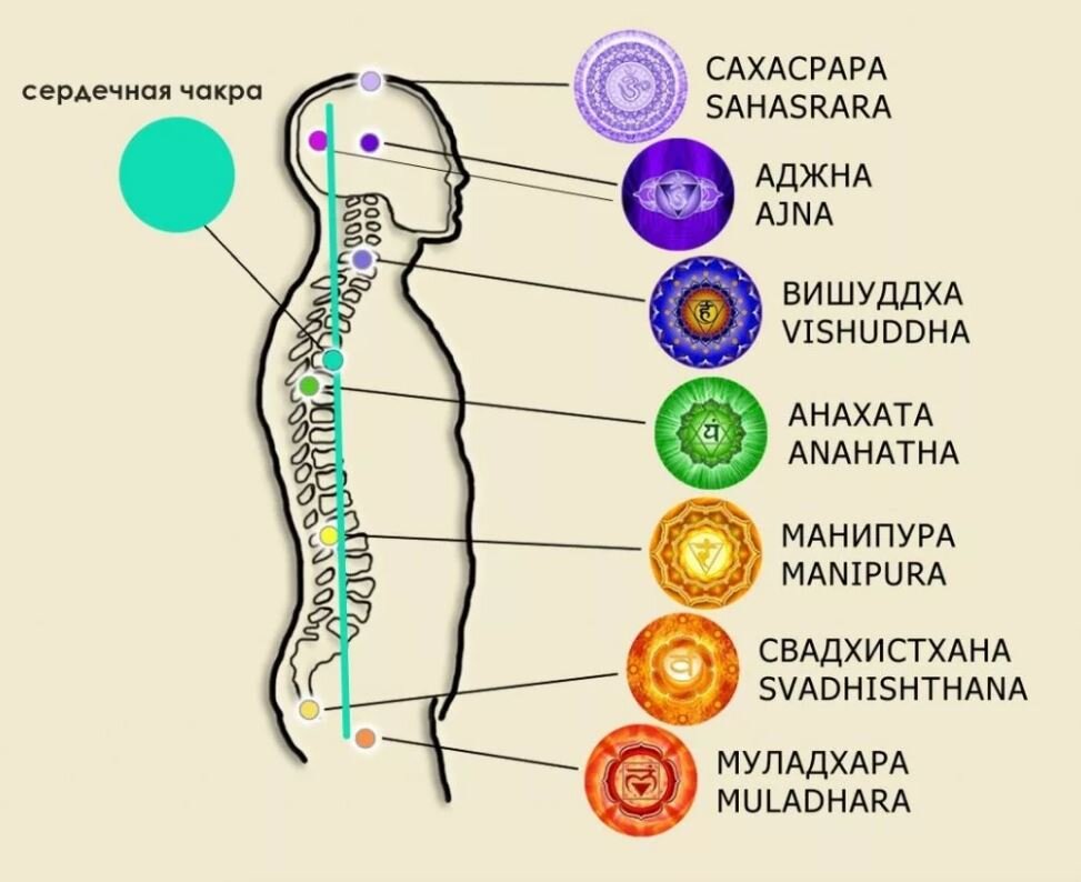 Сахасрара и Аджна служит для связи всех энергетических тел.