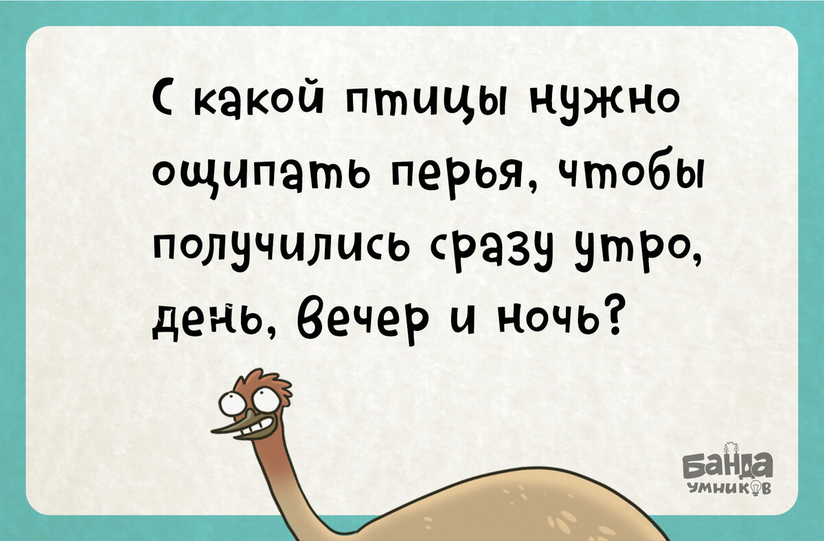 С какой птицы нужно ощипать перья, чтобы получились сразу утро, день, вечер  и ночь? 🦅 | Банда умников | Дзен