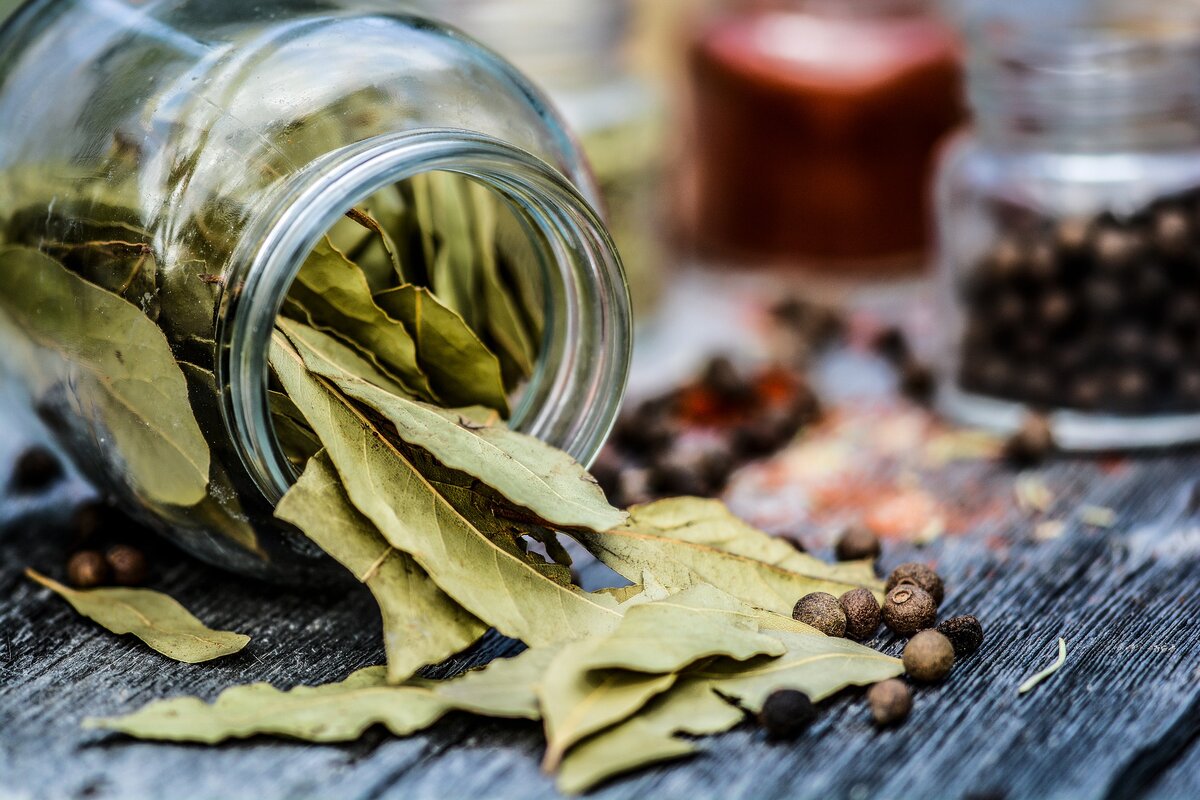 Изображение с сайта Pixabay