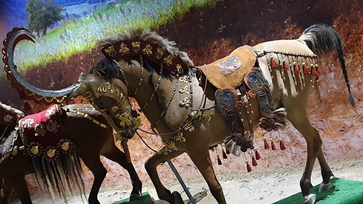 Кыскоу — брачная игра казахов с использование лошадей