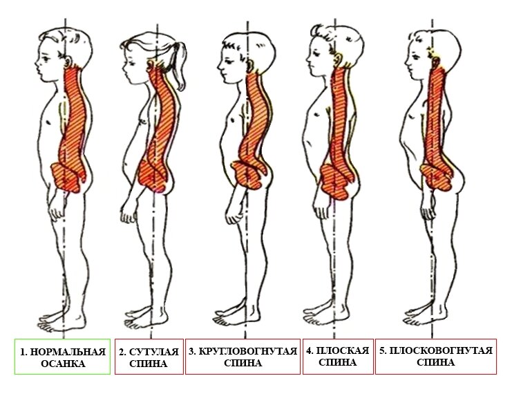Из открытых источников Яндекса