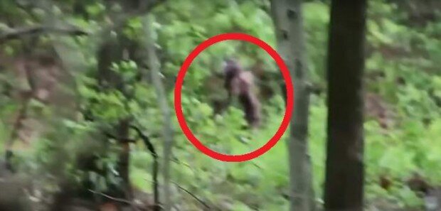 Крайне похож на Лешего с прошлой фотки! Исключать такой вариант никак нельзя! 