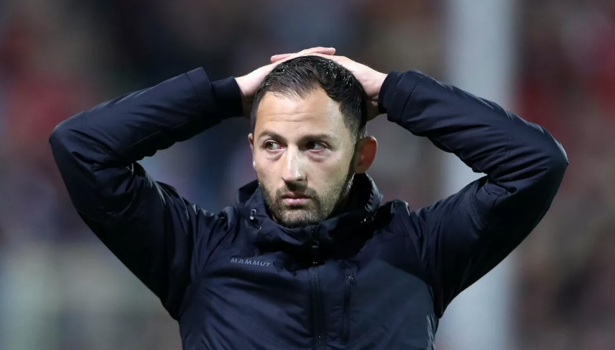 Доменико Тедеско. Фото Яндекс.Дзен