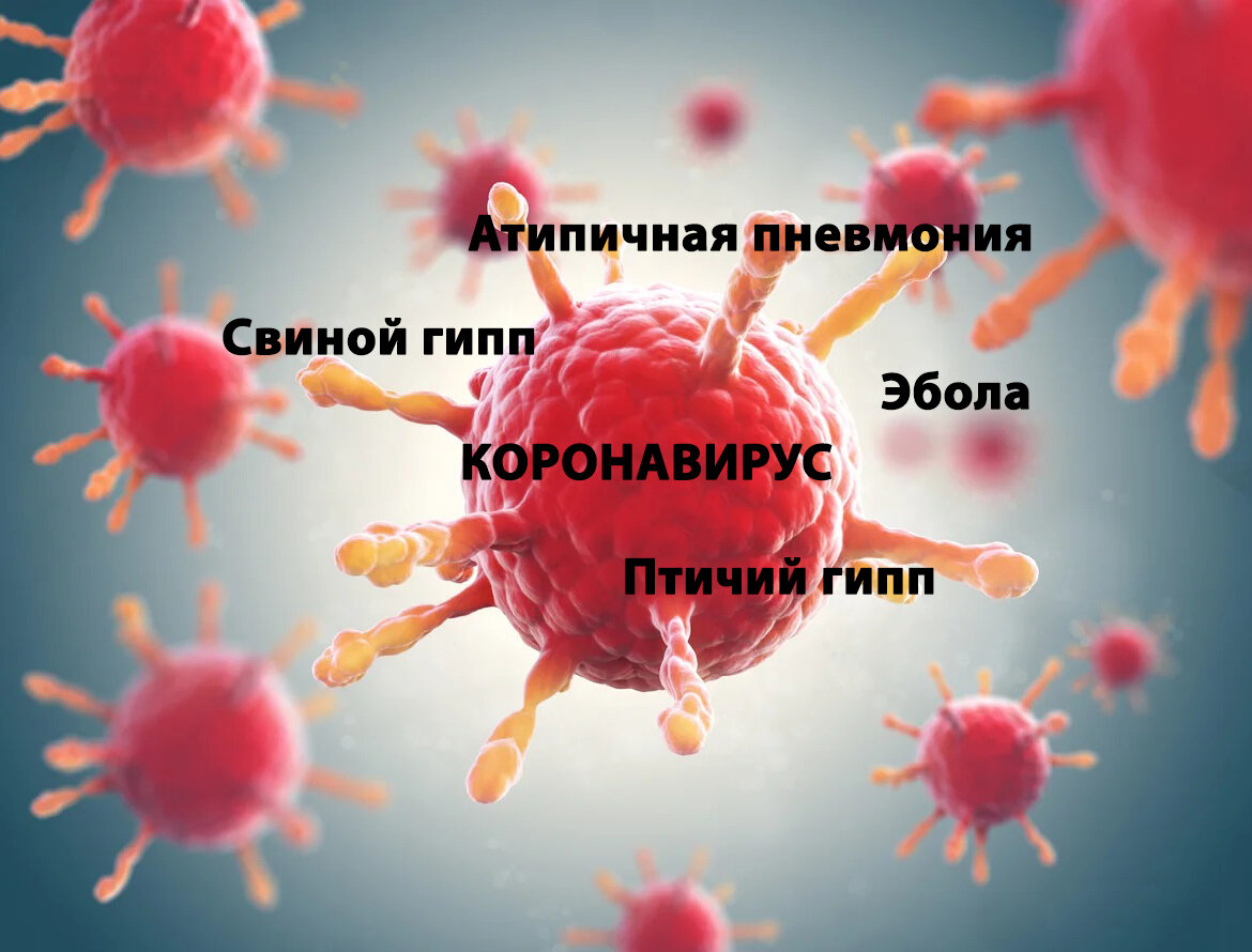 Что еще нас ждет впереди?