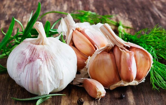 Чеснок