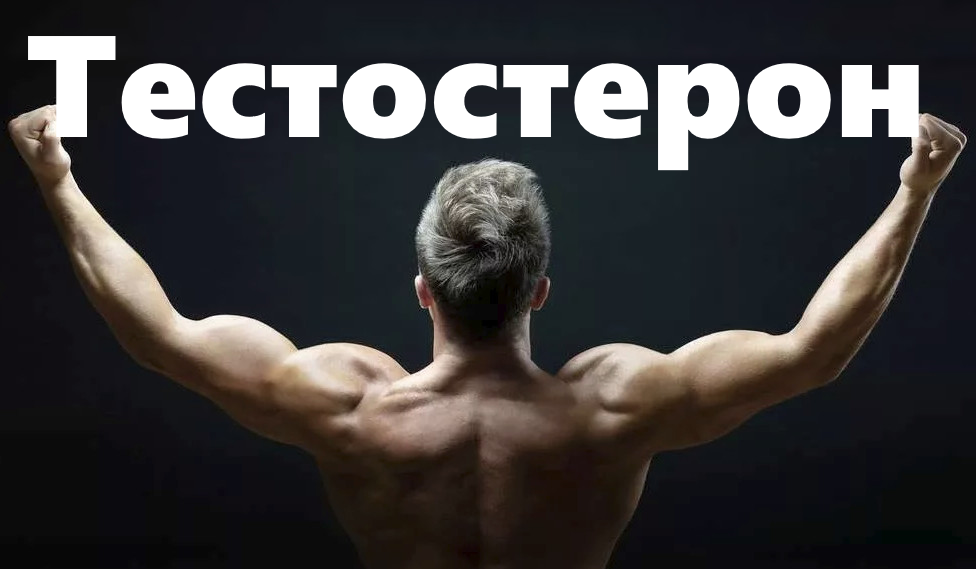 Тренировки повышающие тестостерон. Тестостерон для диабетика.