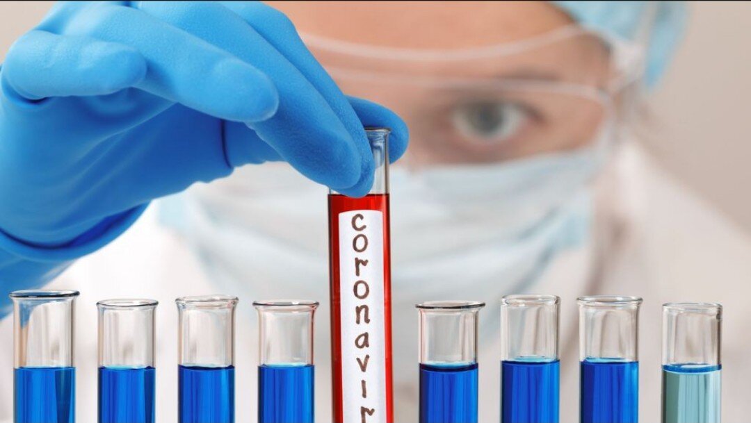 COVID -19 в лаборатории 