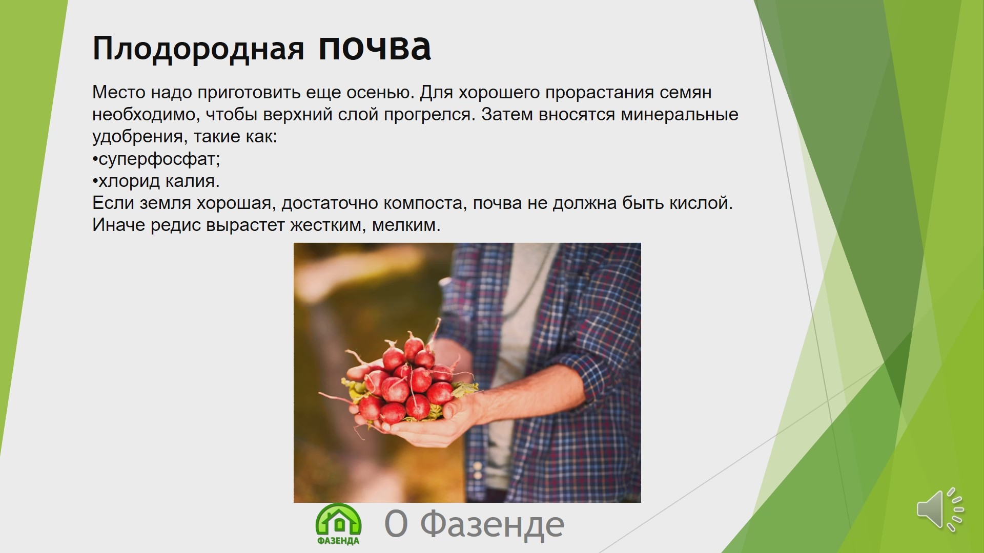 2. Оптимальное время посева