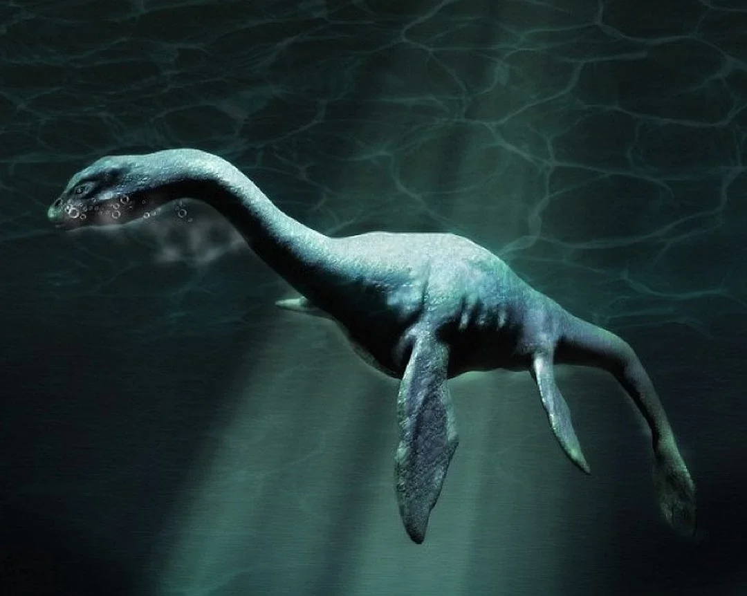 Loch ness monster. Лохнесское чудовище. Лох-несское чудовище. Несси Лохнесское чудовище. Чудовище лох-Несс Лохнесское.