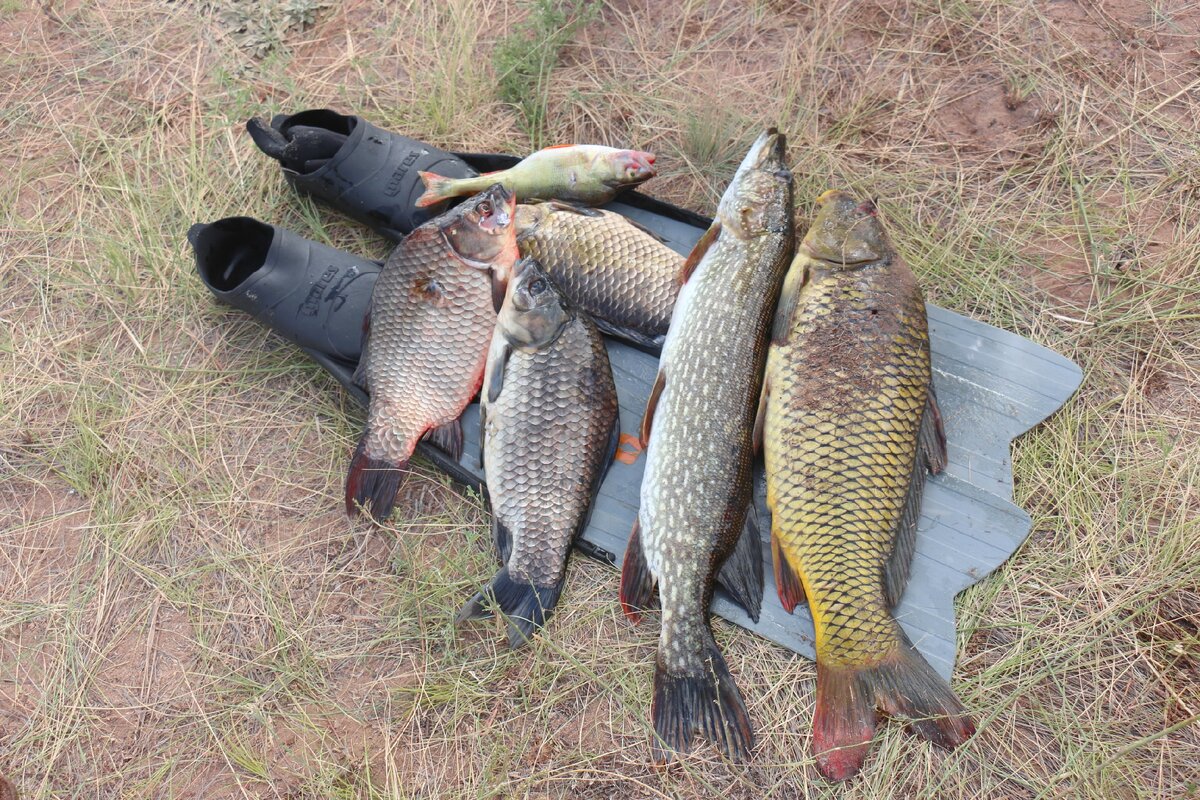 улов для разминки))