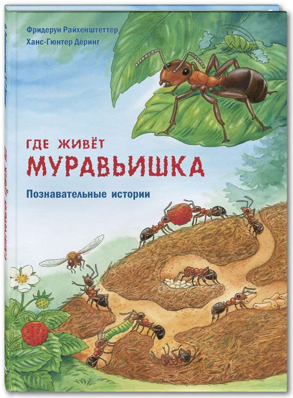 Серия "Давай познакомимся"