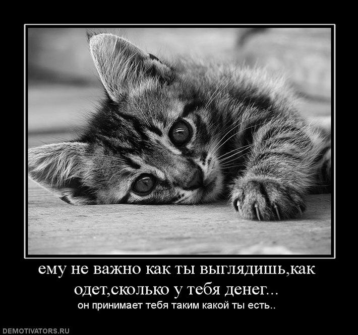 Картинка из открытых источников в интернете