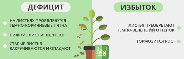   Как распознать дефицит и избыток Магния.                  источни: кrehaexpo.ru/
