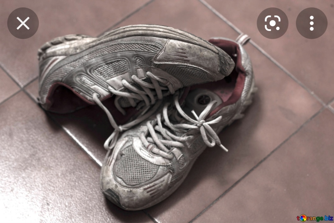 Фото из интернета 