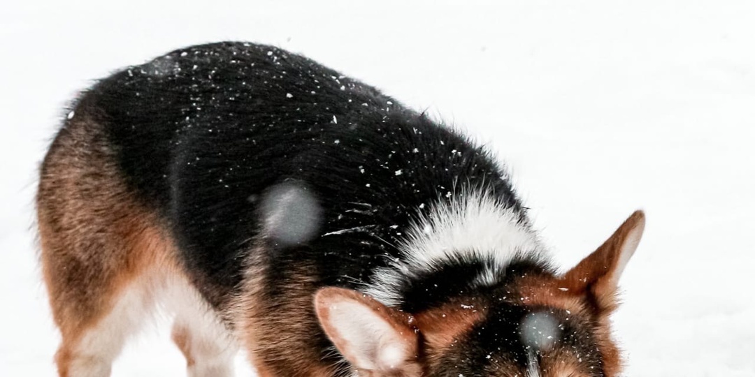 «Хочу фотографировать, но не знаю, с чего начать»