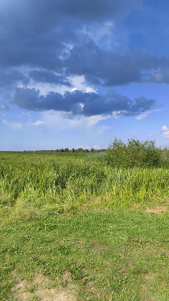 Любимое место))