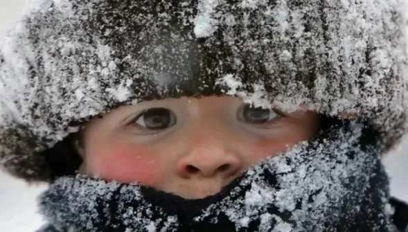 Фотография взята для иллюстрации