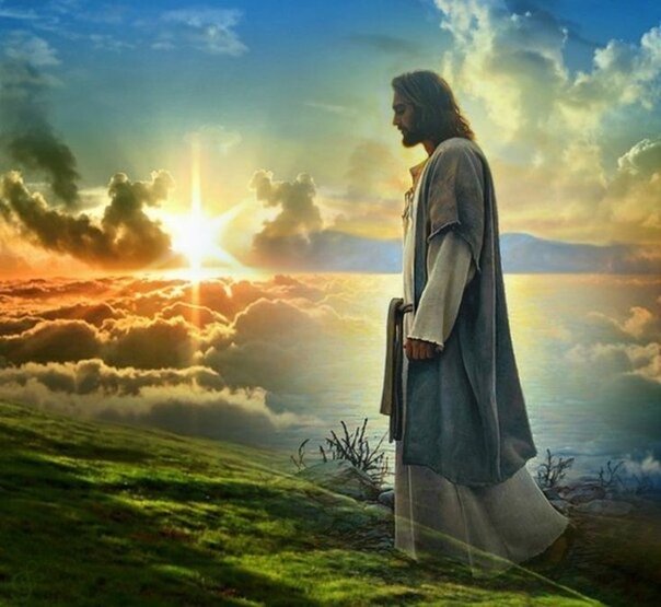 Изображение из открытого доступа