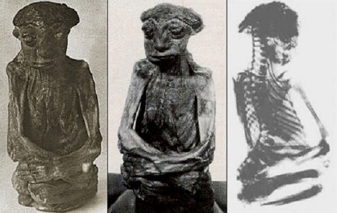 
 Это не обычные мумии.