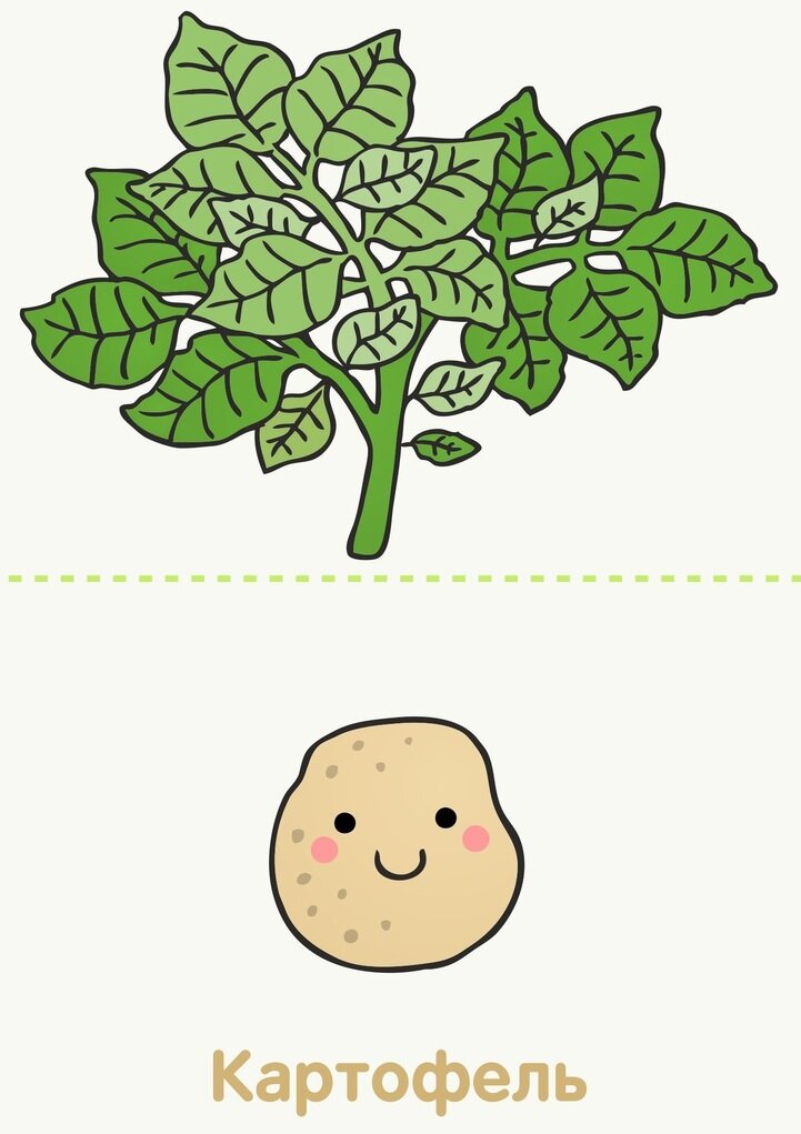 Игра вершки и корешки в картинках