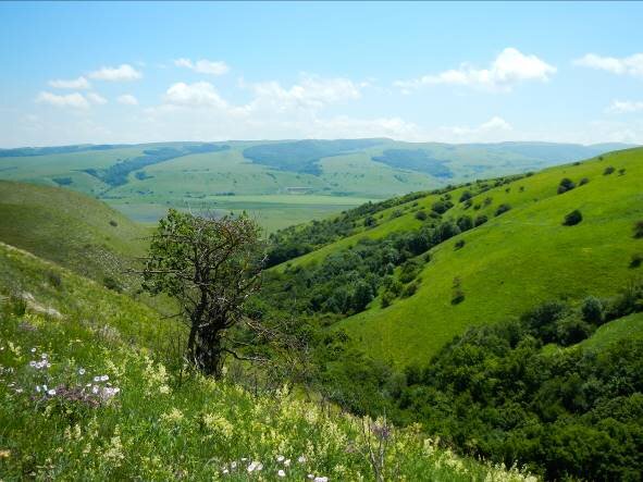 Природный комплекс «Чехрак». Фото: Минприроды Краснодарского края