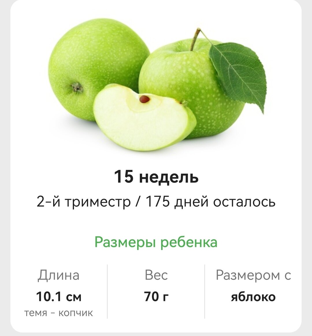 Приложение календарь беременности. Календари беременности фрукты. Приложение беременность по неделям фрукты. Приложение для беременности с фруктами. Фрукты по неделям беременности.