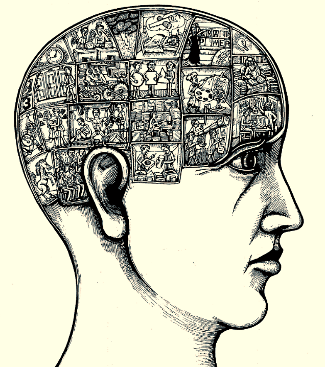 Интересно слышать, когда люди пусть даже в шутку говорят- у меня депрессия и мне нужна ПСИХОЛОГИЧЕСКАЯ ПОМОЩЬ. И в тот момент я понимаю, что люди совершенно не видят разницы между психологом, психиатром, и мне довольно обидно, что меня человека с высшим медицинским образованием могут причислять к психологу.
Вкратце объясню разницу.
Психологом в наше время, к сожалению, может стать любой человек, который заплатил определенную сумму, отучился непродолжительное время, получил сертификат от какой-то организации, которая даже может не иметь лицензии на обучение и все! Этот человек может называть себя психологом.
Кто же такой врач психиатр? Это человек, который отучился 6 лет в медицинском университете, затем 2 года в ординатуре, человек, который не то, что разбирается и может сказать, что такое депрессия, БАР, шизофрения и т.д, он знает причины, он смотрит вглубь с позиции клинициста. Чувствуете разницу?
Если у человека действительно депрессия или биполярно – аффективное расстройство, то эти заболевания лечит ВРАЧ!
А психолог не лечит, он проводит работу, но с психически здоровыми людьми!
И если психолог говорит вам, что выведет вас из депрессии при помощи только своих психологических сеансов, без подключения психиатра и медикаментов, знайте – это мошенник, который хочет, чтобы вы как можно дольше к нему ходили и платили деньги, а в конечном итоге вы все равно пойдете к психиатру, только уже в более тяжелом состоянии.
Я сейчас ни в коем случае не хочу обидеть психологов, просто нужно четко ​ разделять, где здоровый человек, а где больной человек, требующий медицинской помощи.