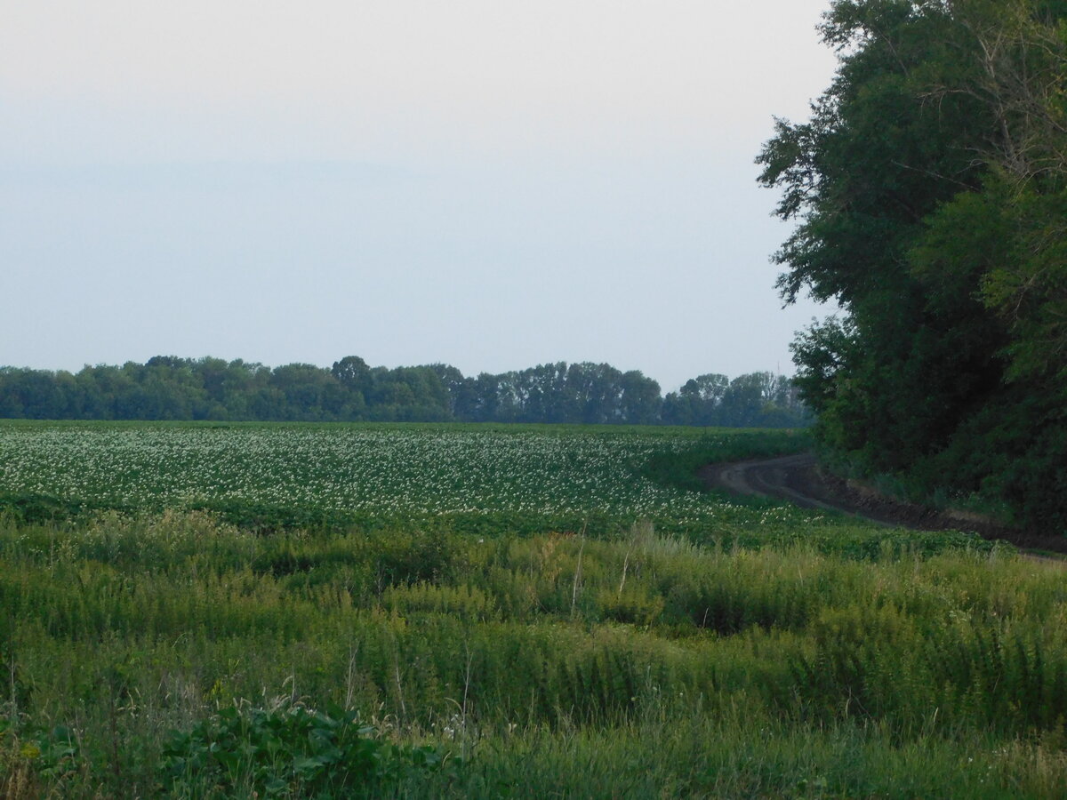 Фото автора канала