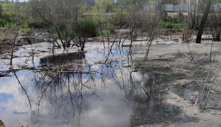 Фото: пресс-служба Росприроднадзора