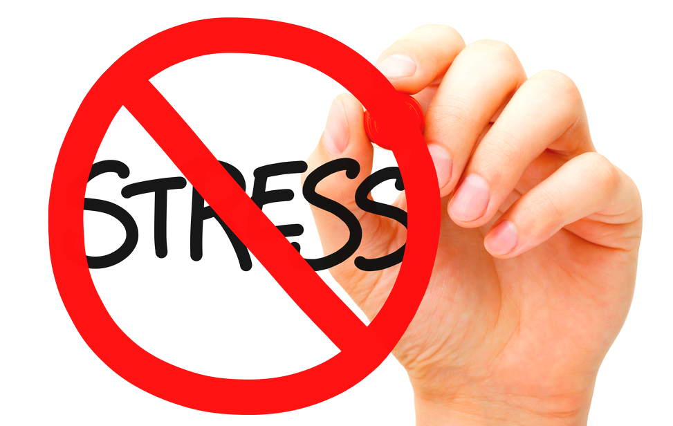 Стресс - ставшая привычной составляющая нашей жизни