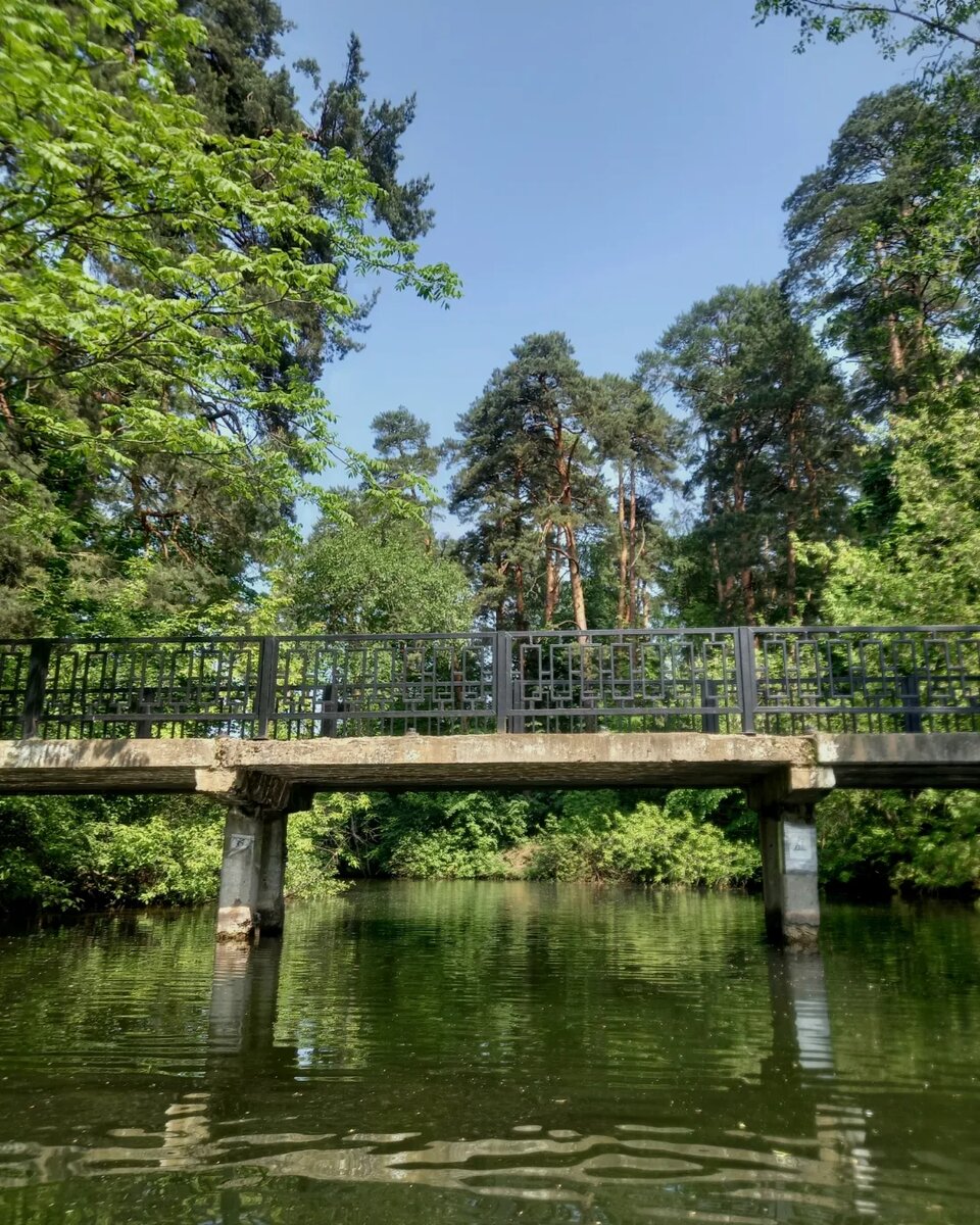 Мосты в Серебряном Бору парке